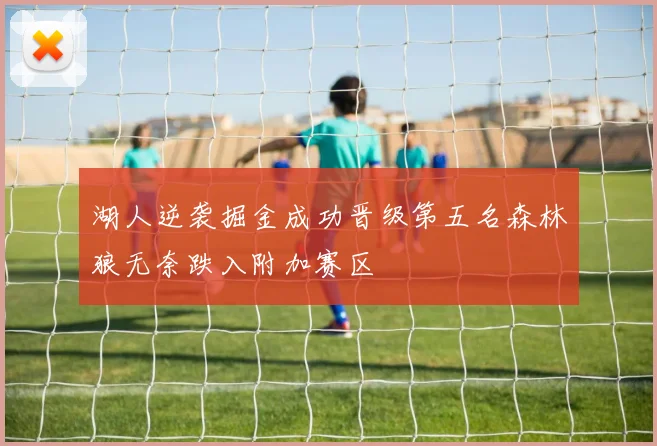 湖人逆袭掘金成功晋级第五名森林狼无奈跌入附加赛区