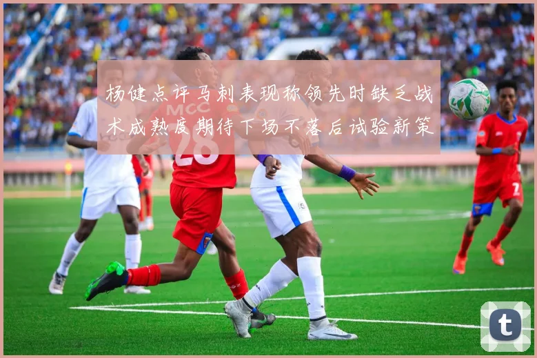 杨健点评马刺表现称领先时缺乏战术成熟度期待下场不落后试验新策略